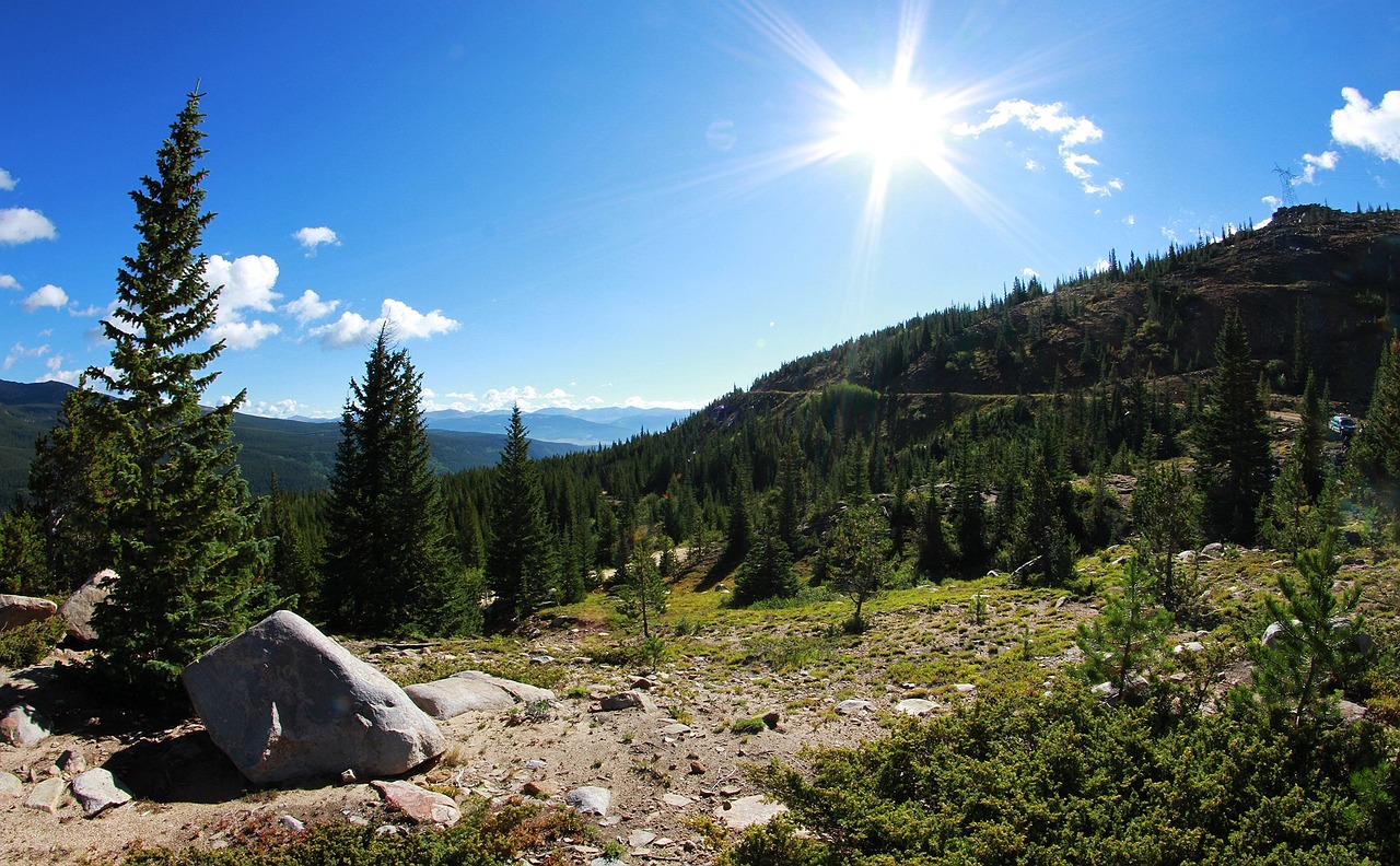 徐州个人租房最新信息概览,最新房源及动态更新