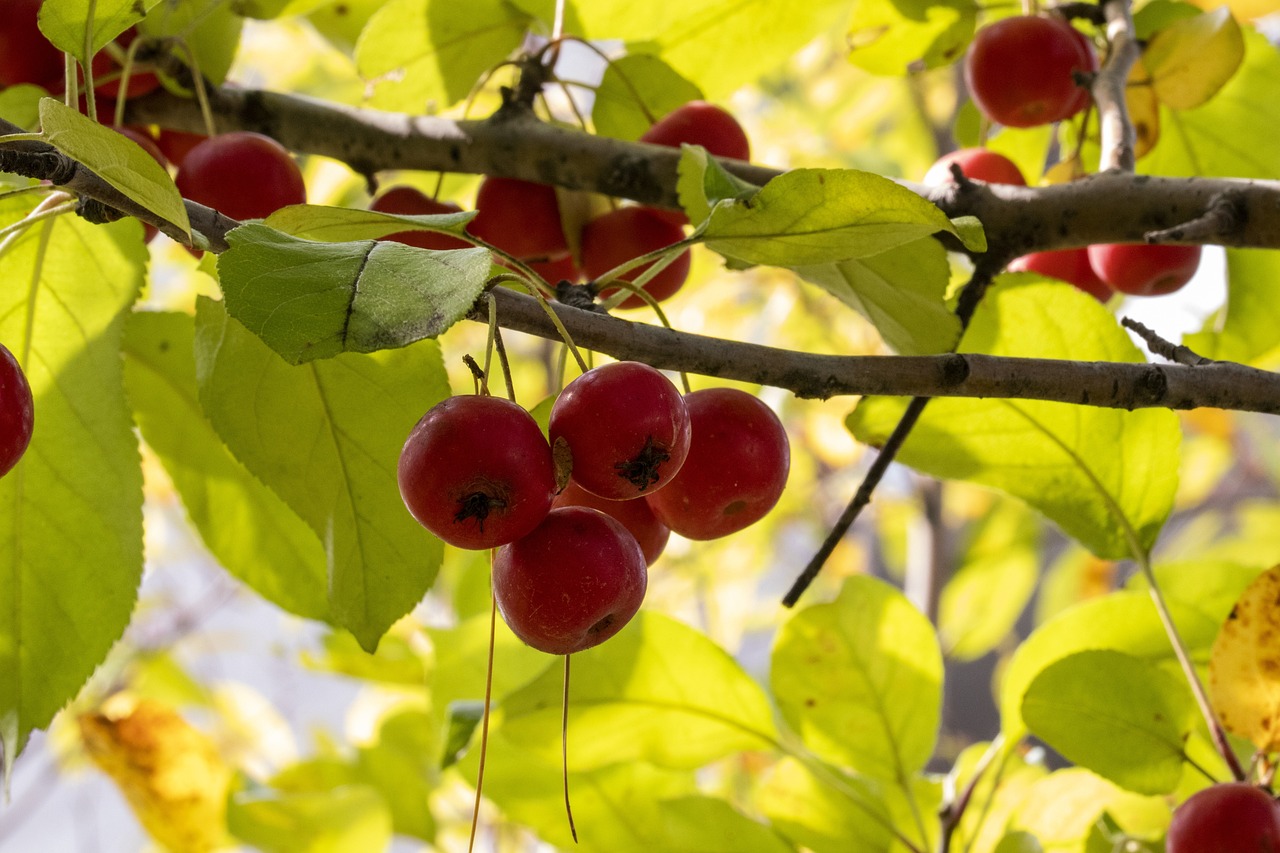 星沙最新新闻动态报道速递