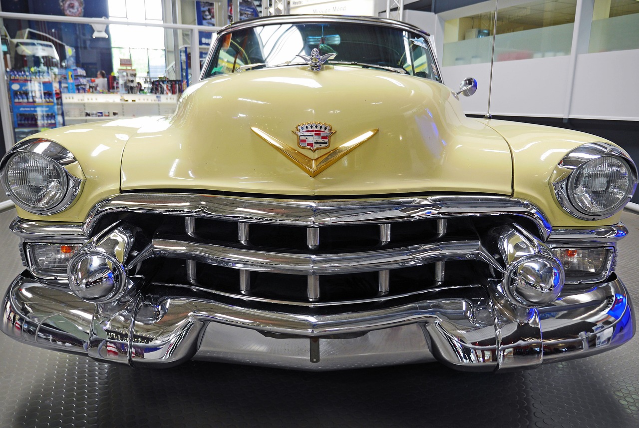 中国女排蓄势待发,展现强大实力,最新动态与实力分析